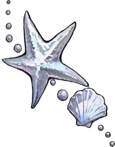 星的触摸