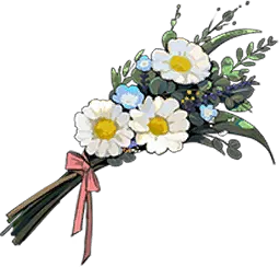 郊野的雏菊